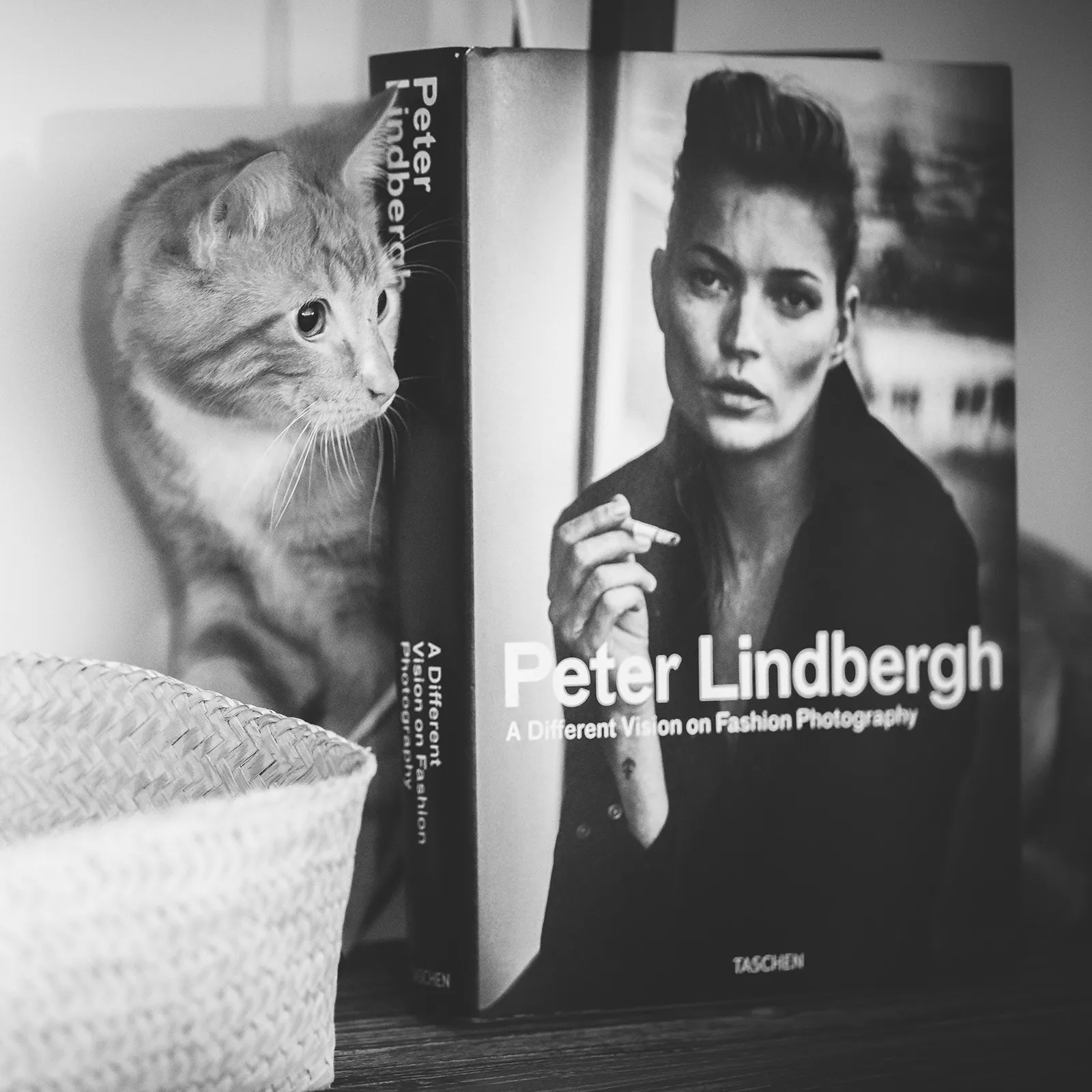 Süße Katze hinter einem Buch von Peter Lindbergh